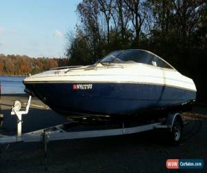 Classic 1994 Chris Craft 217 BR for Sale