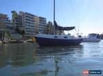 Hood 23 sailing boat and mooring - large reduction in price for Sale