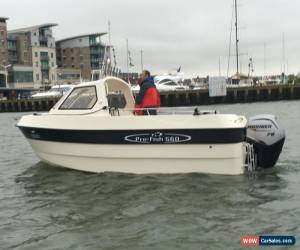 Classic NEW PRO FISH 560 Day fisher / Mariner 75hp four stroke  for Sale