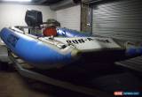 Classic Thunder Cat Boat Inflatable Race Boat 50Hp Tohatsu Motor for Sale