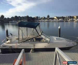 Classic Bayliner 195 Cuddy  for Sale