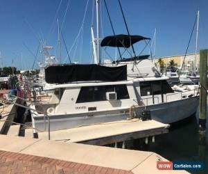 Classic 1981 Mainship for Sale