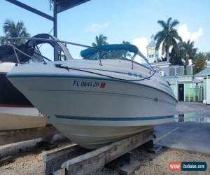 Classic 1995 Sea Ray for Sale