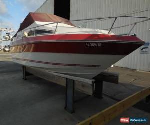 Classic 1986 Sea Ray Seville for Sale