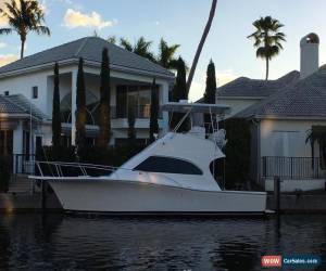 Classic 2003 Luhrs for Sale