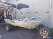 fishing boat 3.6m tinnie 9.9hp Mercury outboard for Sale