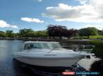 Fishing Boat, Motor Boat: Faeton 630 4.3l for Sale