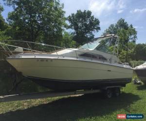 Classic 1982 Sea Ray 260 Express Cruiser for Sale