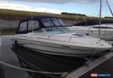 Classic Sea Ray 215 Motor Boat for Sale