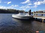 Open 18 foot Fishing Boat Fiberglass for Sale