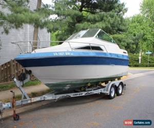 Classic 1988 Sea Ray Seville for Sale