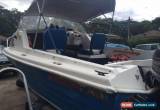 Classic 4.9mtr Half Cabin with 115hp Evinrude motor for Sale