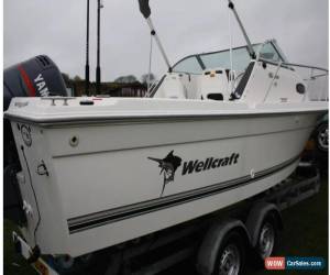 Classic wellcraft 23 foot sport fisher power boat fishing boat for Sale