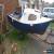 Classic 16 foot fishing boat- project for Sale