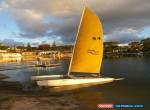 Maricat 4.8 Sailing Catamaran NO RESERVE Hobie Hydra Caper for Sale