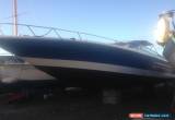 Classic SEARAY 370 PROJECT BOAT for Sale