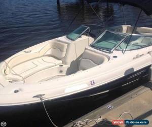 Classic 2008 Sea Ray 220 Sundeck for Sale