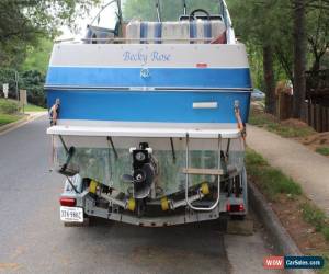 Classic 1988 Sea Ray Seville for Sale