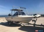 Caribbean Belmont Runabout - 115HP Yamaha 4 Stroke 2013 for Sale