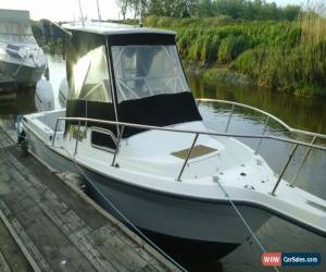 Classic PROJECT 24ft SPORTS FISHING AND WAKEBOARDING CUDDY BOAT AND TRAILER VERY FAST for Sale
