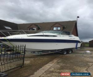 Classic Bayliner 245 for Sale