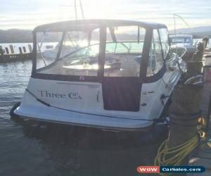 Classic Bayliner 245 for Sale