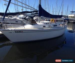 Classic 1983 CAL MKIII for Sale