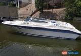 Classic 1989 SeaRay for Sale