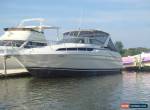 1994 Wellcraft 3600 Martinique for Sale