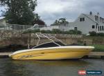 2004 Sea Ray 220 Select for Sale