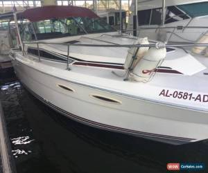 Classic 1988 Sea Ray for Sale