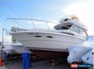 1987 Sea Ray 340 for Sale