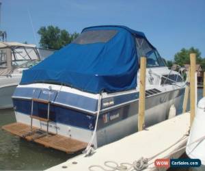 Classic 1985 Wellcraft 260 Aft Cabin for Sale