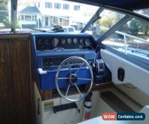 Classic 1987 Sea Ray for Sale