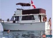 1981 Mainship for Sale