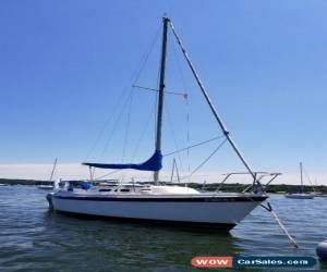 Classic 1979 O'day 25 for Sale