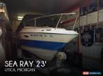 1986 Sea Ray Cuddy Cruiser SRV230 for Sale