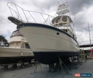 Classic 1983 Hatteras Convertible for Sale