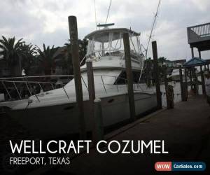 Classic 1988 Wellcraft Cozumel for Sale