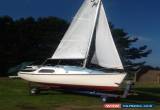 Classic SHIPMATE 17FT  for Sale