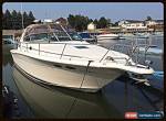 1999 Sea Ray 330 Express for Sale