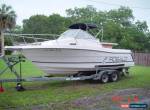 1993 Robalo 2440 for Sale