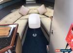 Bayliner 2455 Ciera Sunbridge boat with 3.5T 3500kg braked trailer for Sale