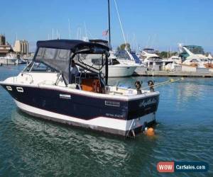 Classic 1984 Bayliner for Sale