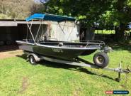 Powercat Fishing Boat 4.5m Twin Hull - Fiberglass for Sale