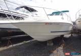 Classic 1995 Rinker for Sale