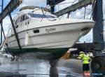 Sealine f33 flybridge Power Boat Swap Px  for Sale