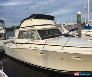 Classic 1973 Viking for Sale
