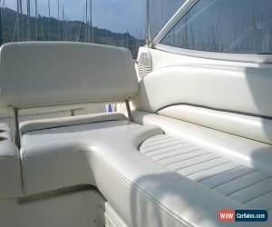 Classic Bayliner 2455 Power Boat in Ancona, Italy for Sale
