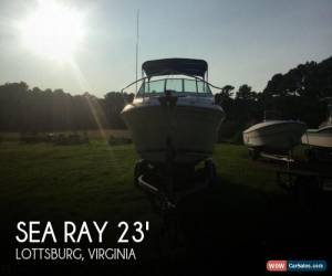 Classic 1992 Sea Ray 240 Sundancer for Sale